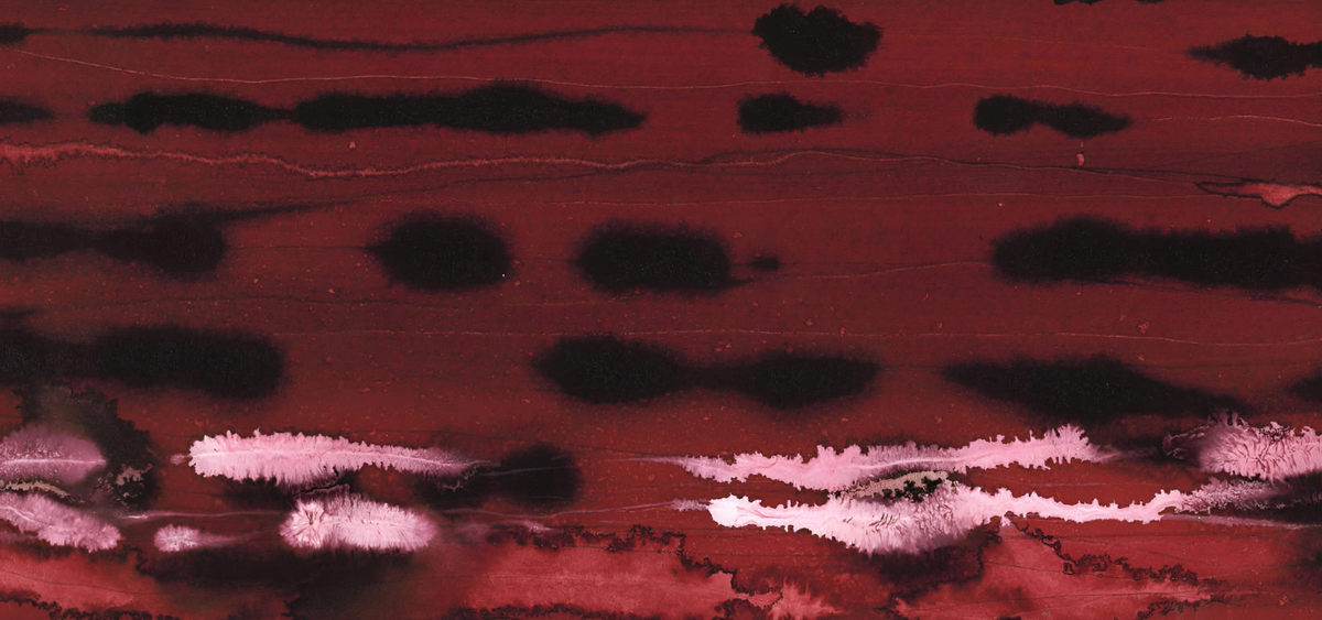 collection-banner-image